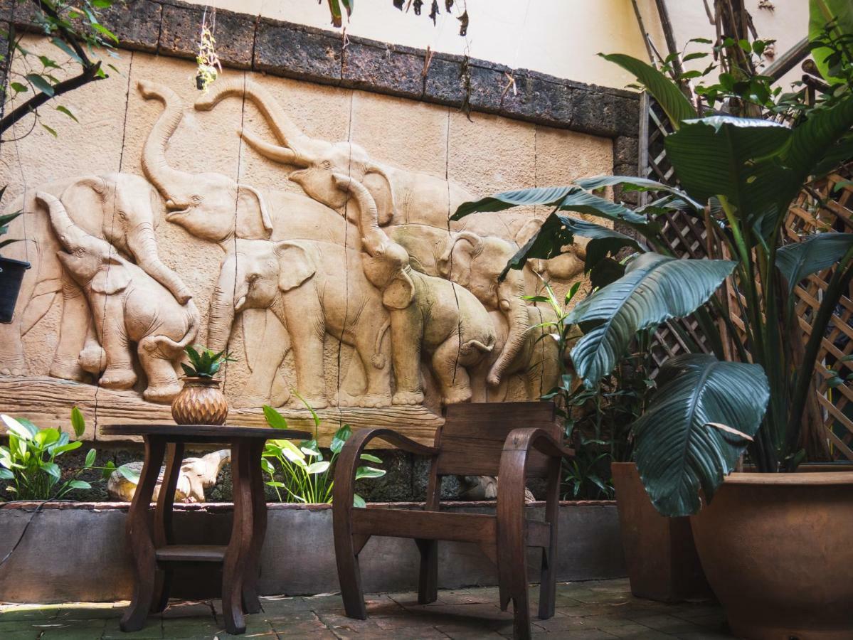 צ'יאנג מאי Cool Guesthouse מראה חיצוני תמונה